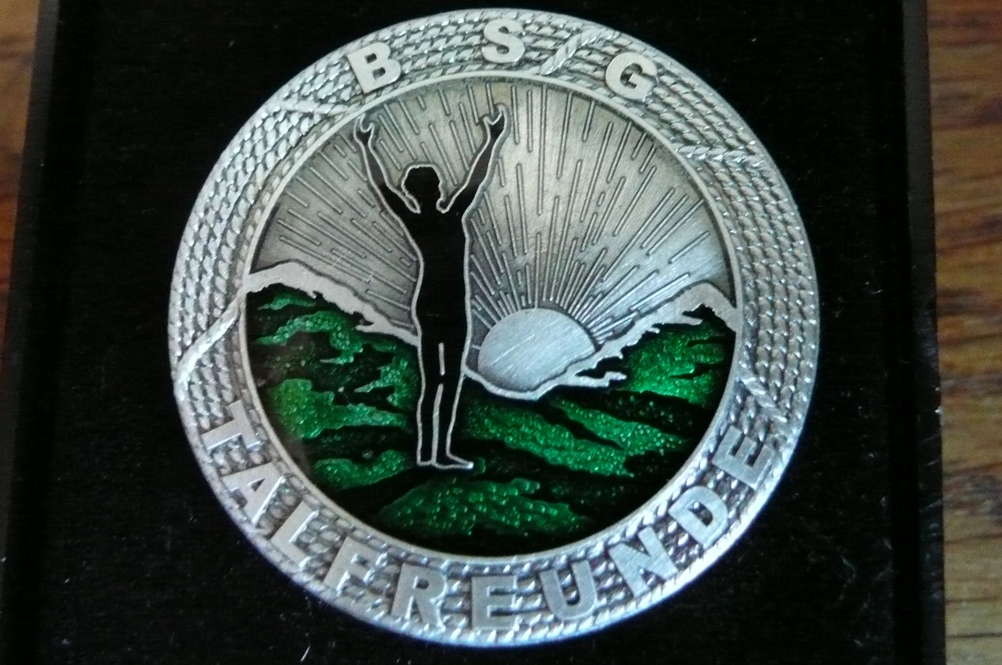 BSG Talfreunde Signet.jpg