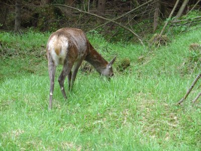 abschnitt 3 - bild 23.jpg