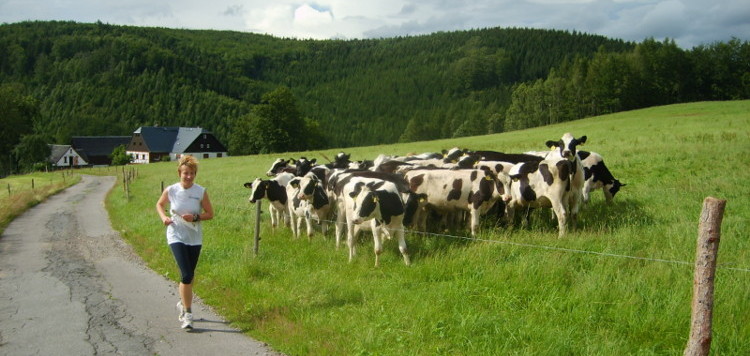 Erzgebirgstraverse bei Seiffen.jpg