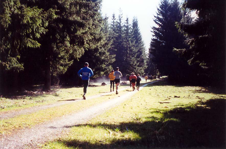 Harzquerung3-orig.jpg